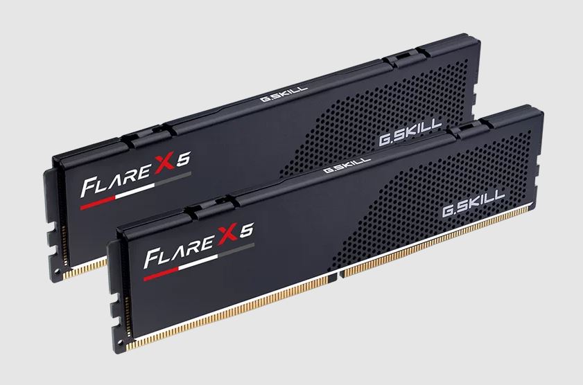 G.SKILL Flare X5 64GB (2x32GB) DDR5-6000 MHz CL36 Desktop RAM Kit with AMD EXPO & Intel XMP 3.0 Support, 1.35V Low-Profile Modules