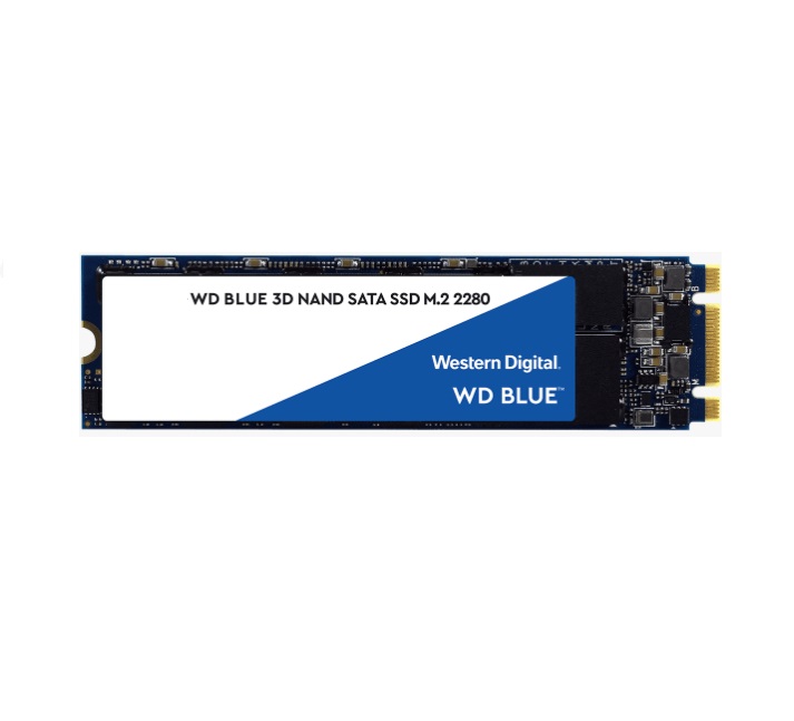 Western Digital WD Blue 1TB M.2 2280 SATA III SSD 560MB/s Read, 530MB/s Write, 400TBW Endurance, 3D NAND, 5-Year Warranty