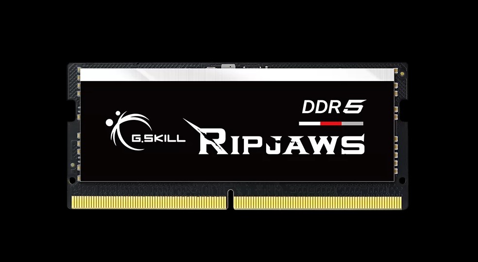 G.SKILL Ripjaws DDR5 SO-DIMM 48GB (1x48GB) 5600 MT/s CL46-45-45-89 1.10V High Performance Laptop Memory