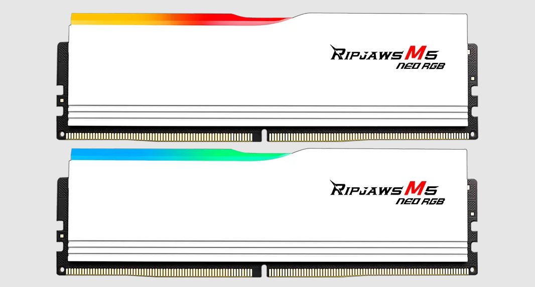 G.SKILL Ripjaws M5 Neo RGB 32GB (2x16GB) DDR5 6000 MT/s CL36 Dual Channel Memory Kit with AMD EXPO, 1.25V