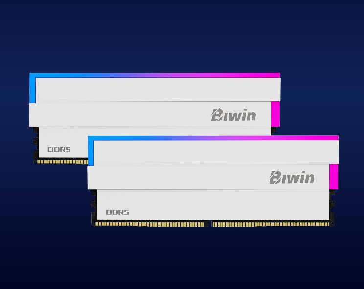 Biwin Black Opal DW100 DDR5 RGB Memory 32GB (16GBx2) 6000MHz CL30 RGB UDIMM DDR5 1.35V White