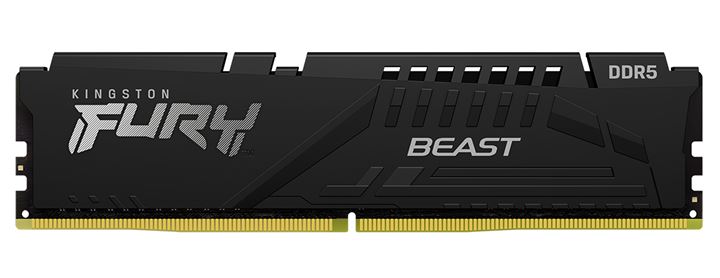 Kingston FURY Beast 16GB DDR5 5600MT/s CL36 EXPO Desktop Memory Module - KF556C36BBE-16