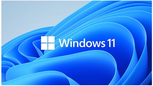 Microsoft Windows 11 Pro for Workstations 64 BIT | Multi-CPU Support, Up to 6TB RAM, RDMA & ReFS Enabled