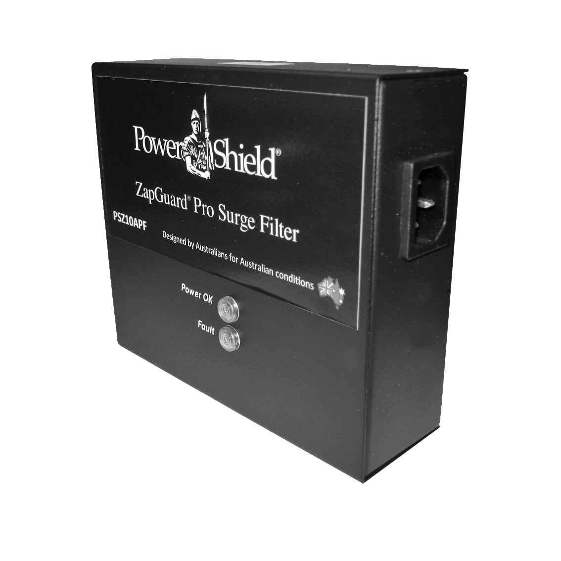 PowerShield PSZ10APF 10 Amp IEC C13 to C14 Surge Filter with 40kA/60kA Protection and EMI/RFI Filtering for UPS & Servers